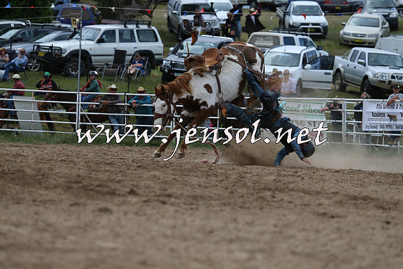 BungendoreRodeo2015_1363