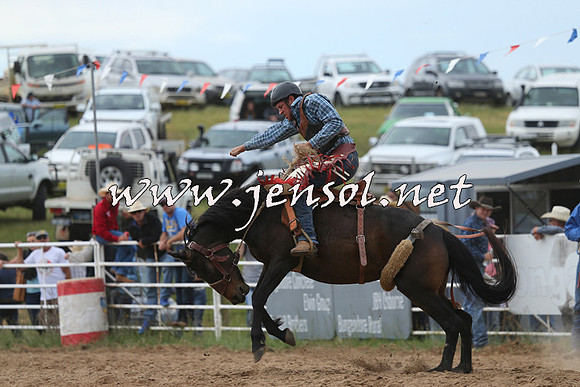 BungendoreRodeo2015_1505