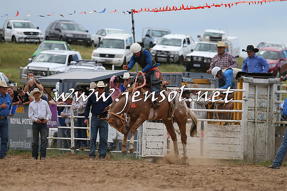 BungendoreRodeo2015_1381