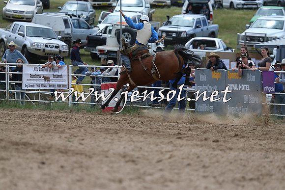 BungendoreRodeo2015_1397