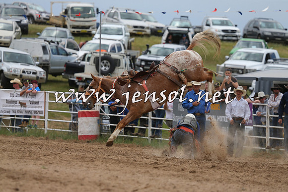 BungendoreRodeo2015_1390