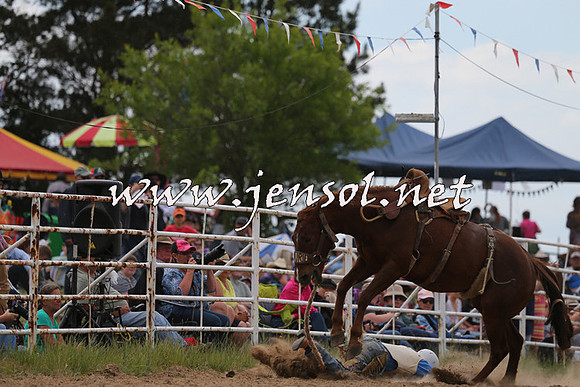 BungendoreRodeo2015_1550
