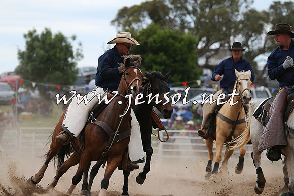 BungendoreRodeo2015_1516