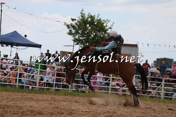 BungendoreRodeo2015_1598
