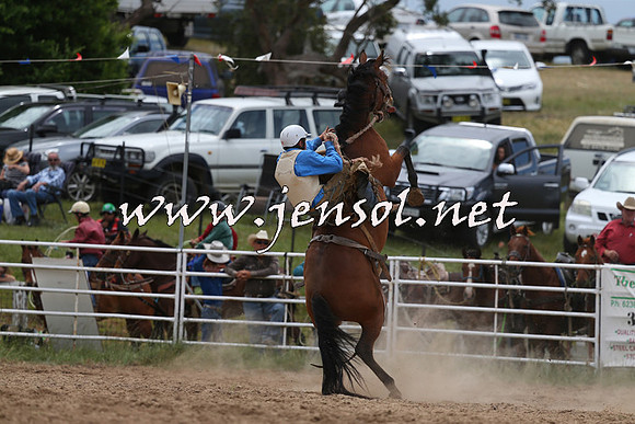 BungendoreRodeo2015_1420