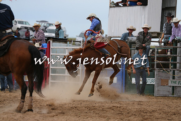 BungendoreRodeo2015_1520