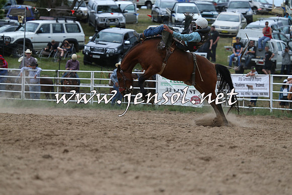 BungendoreRodeo2015_1584