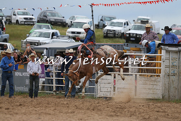 BungendoreRodeo2015_1377