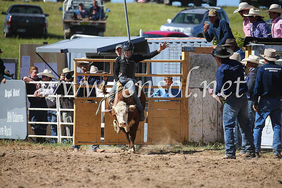 BungendoreRodeo2016-3799