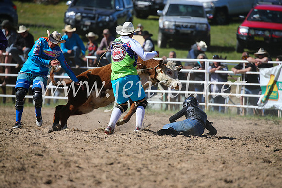 BungendoreRodeo2016-3816