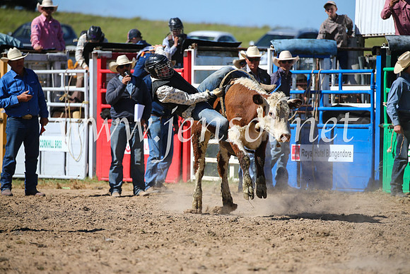 BungendoreRodeo2016-3858