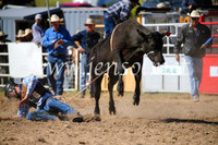 BungendoreRodeo2016-3764