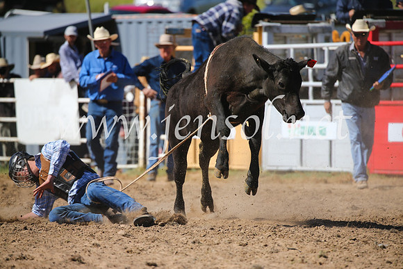 BungendoreRodeo2016-3764