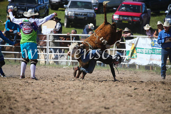 BungendoreRodeo2016-3806