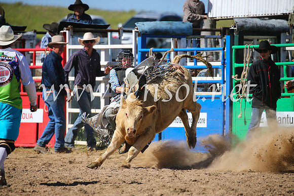 BungendoreRodeo2016-3784