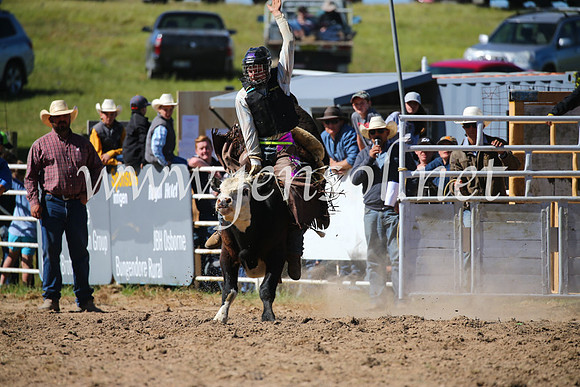 BungendoreRodeo2016-3895
