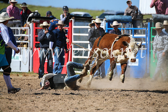 BungendoreRodeo2016-3861