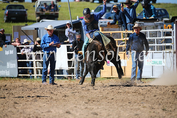 BungendoreRodeo2016-3828