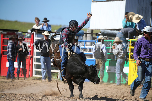 BungendoreRodeo2016-3917