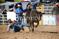 BungendoreRodeo2016-3763