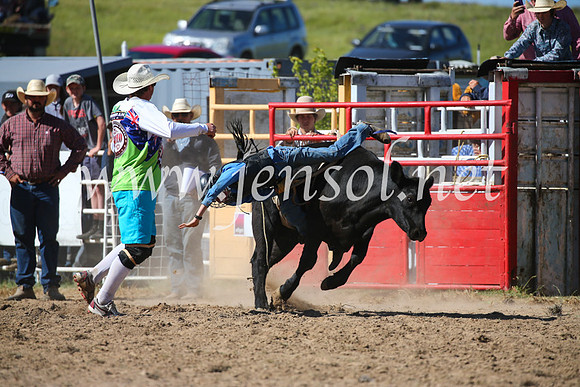 BungendoreRodeo2016-3940