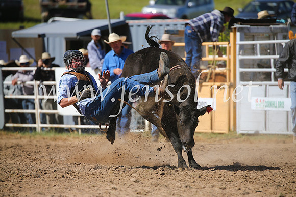 BungendoreRodeo2016-3758