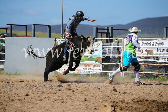 BungendoreRodeo2016-3747