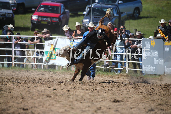 BungendoreRodeo2016-3803