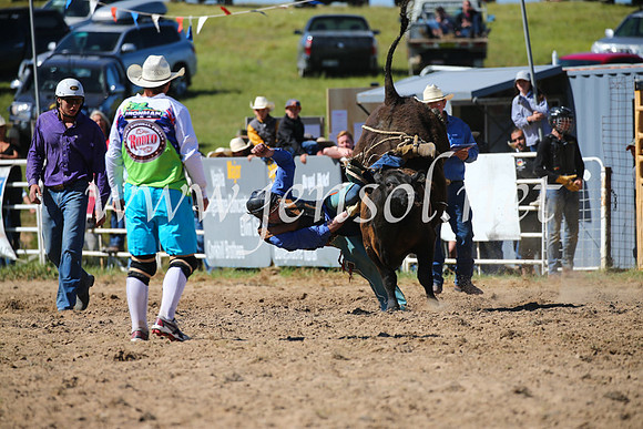 BungendoreRodeo2016-3839