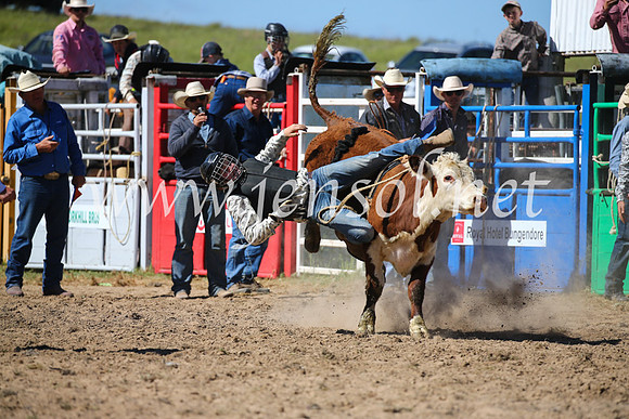 BungendoreRodeo2016-3853