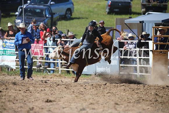 BungendoreRodeo2016-3798