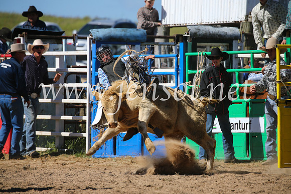 BungendoreRodeo2016-3772