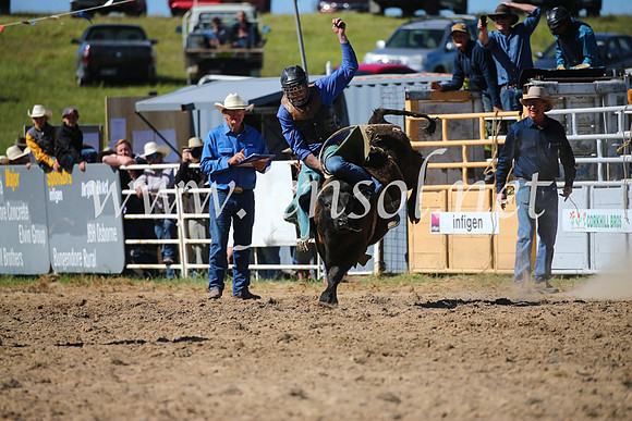 BungendoreRodeo2016-3833