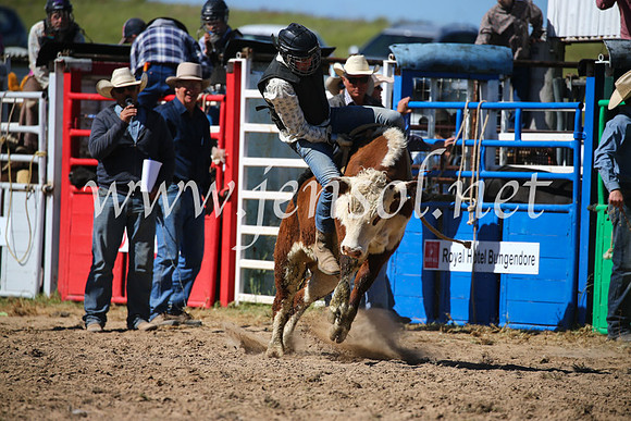 BungendoreRodeo2016-3860