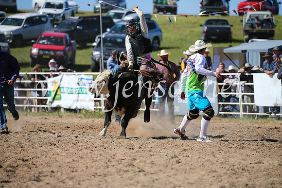 BungendoreRodeo2016-3898