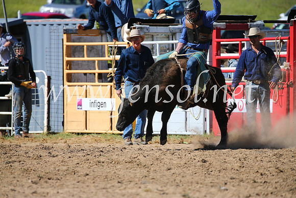 BungendoreRodeo2016-3831