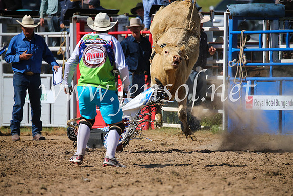 BungendoreRodeo2016-3782