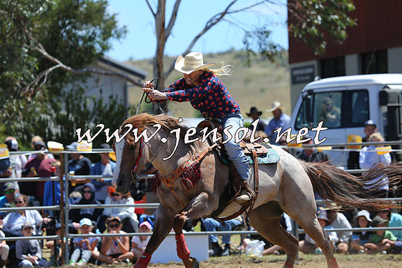 JindabyneRodeo2015_1325