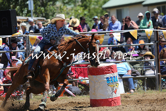 JindabyneRodeo2015_1242