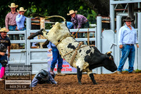 TaralgaRodeo2018_3077