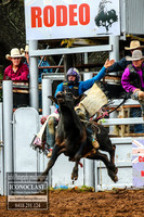 TaralgaRodeo2018_3080