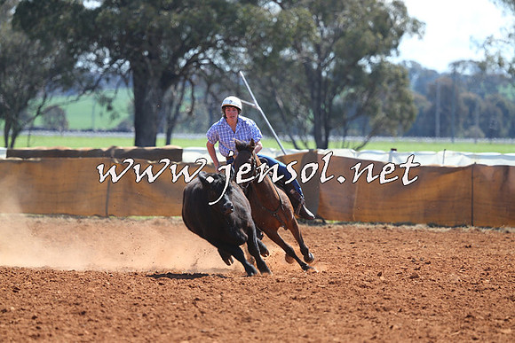 IllaboCampdraft2014_0323