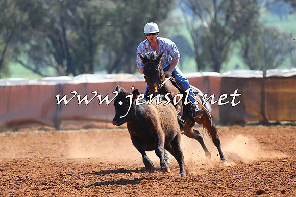 IllaboCampdraft2014_0210