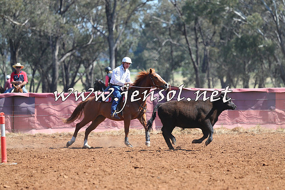 IllaboCampdraft2014_0243