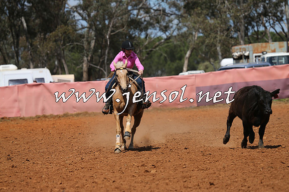 IllaboCampdraft2014_0469