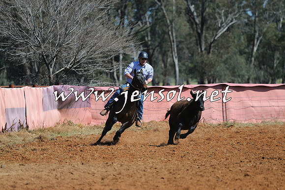 IllaboCampdraft2014_0189