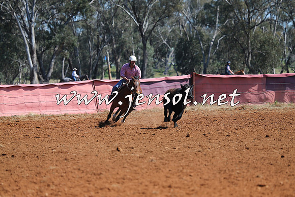 IllaboCampdraft2014_0217