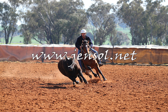 IllaboCampdraft2014_0128