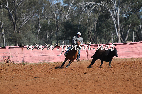 IllaboCampdraft2014_0115
