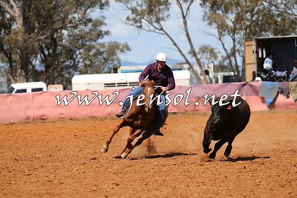 IllaboCampdraft2014_0436